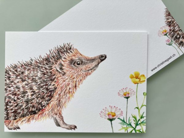 Postkarte Igel