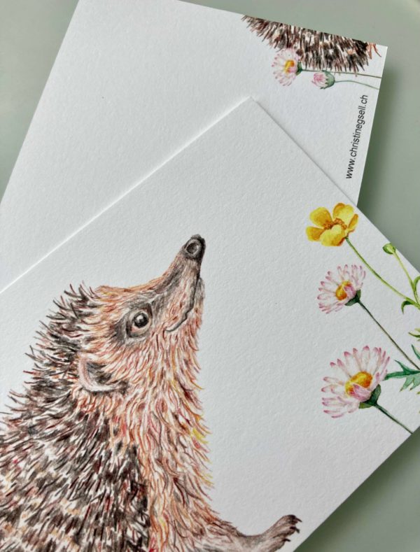 Postkarte Igel – Bild 2