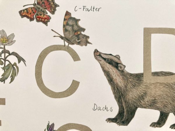 ABC-Poster – Bild 2