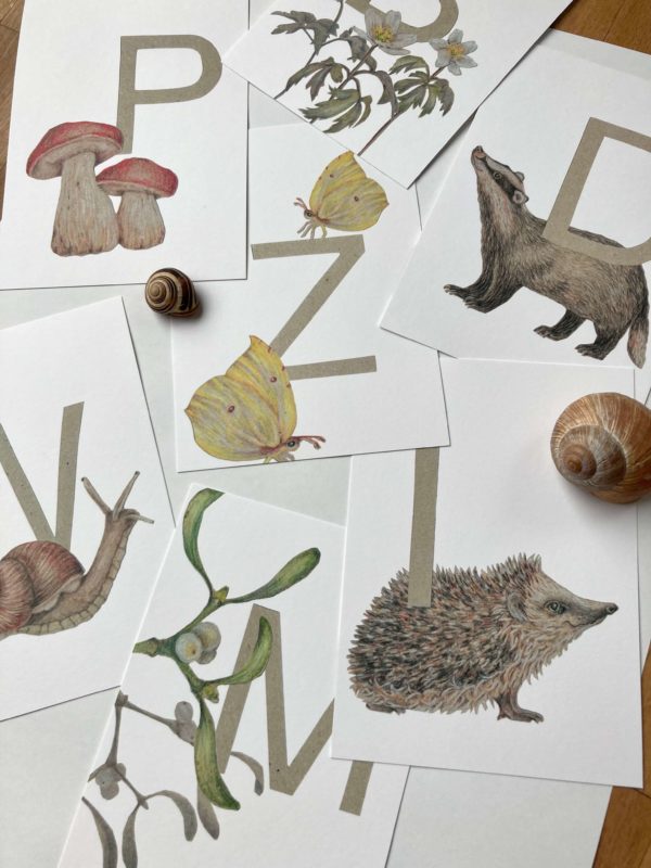 Buchstaben Postkarte