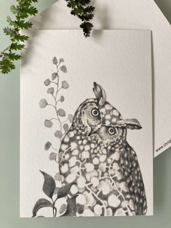 Postkarte Eule