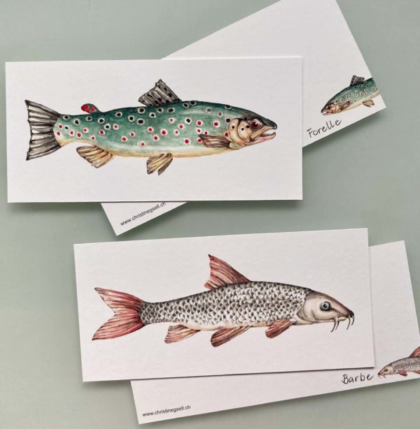 Kartenset Frische Fische – Bild 5