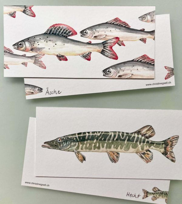 Kartenset Frische Fische – Bild 4