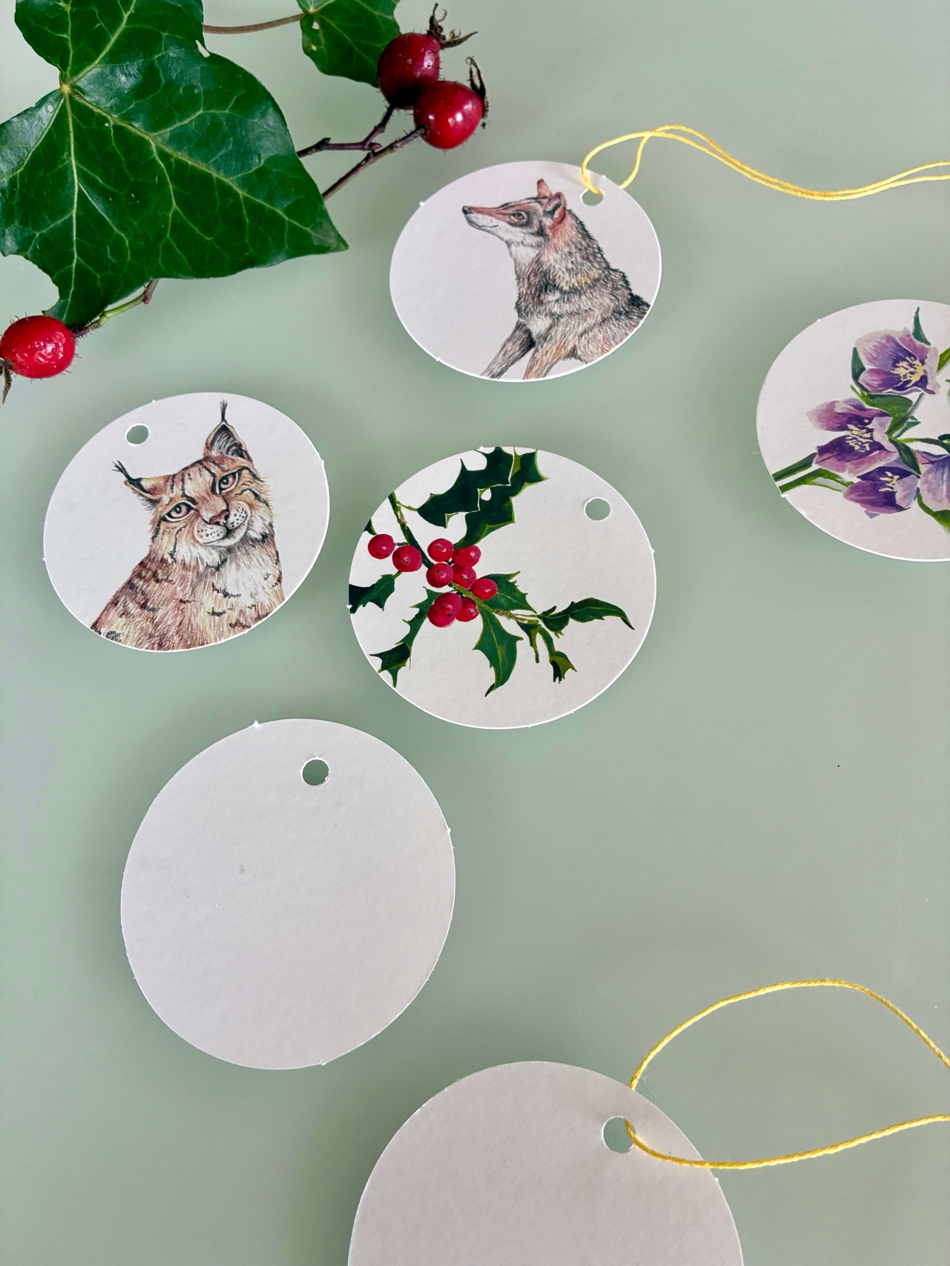 Adventskalender Mit dem Wolf durch den Winterwald – Bild 2