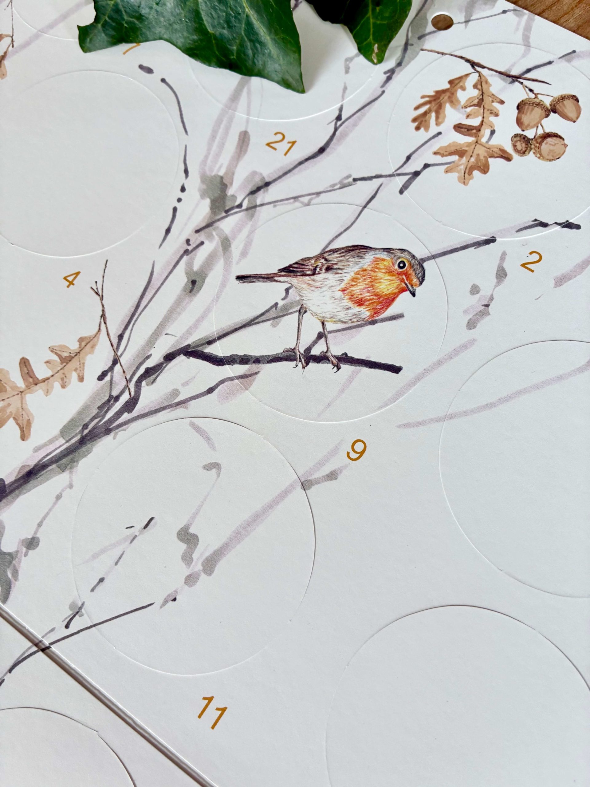 Adventskalender Mit dem Wolf durch den Winterwald – Bild 7