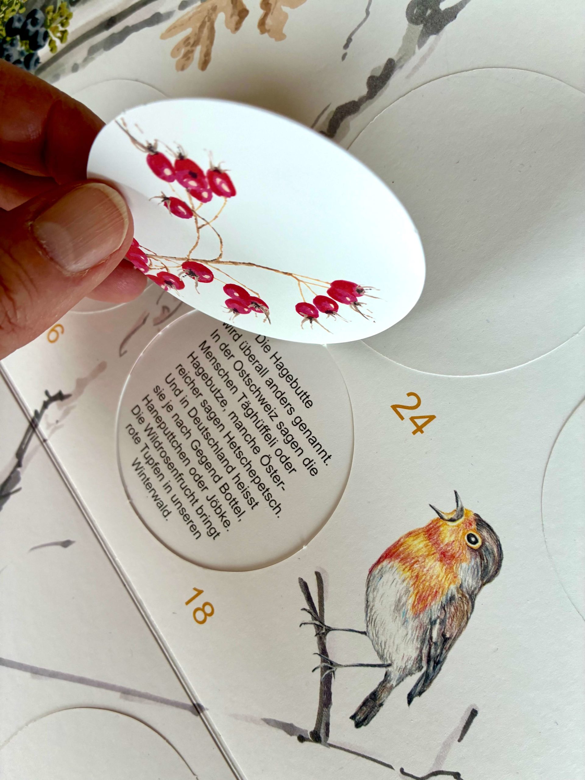 Adventskalender Mit dem Wolf durch den Winterwald