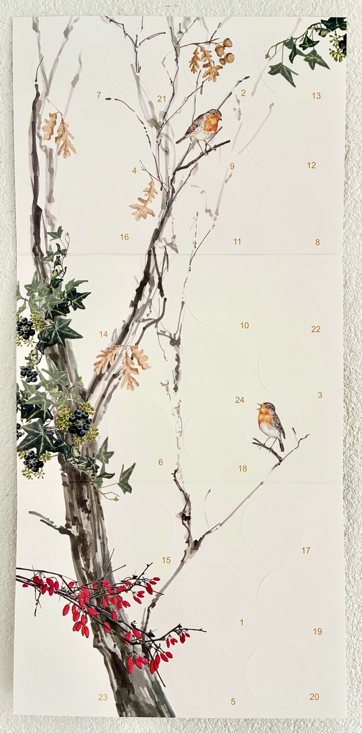 Adventskalender Mit dem Wolf durch den Winterwald – Bild 6